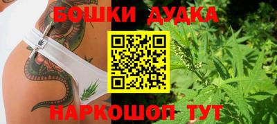 дживик Кинель