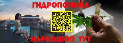 jwh Кимры