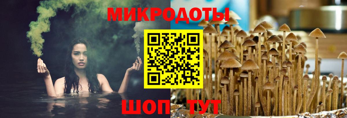Псилоцибиновые грибы прущие грибы  Галлюциногенные грибы Psilocybine cubensis  Красноярск  Вход с VPN 